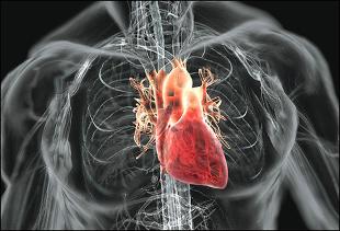 Η καρδιαγγειακή νόσος